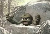 Echte Pokémon in freier Wildbahn