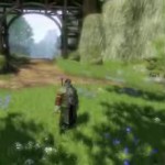 fable2-stf-04