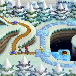 13_wii_nsmb_screenshots_new_-23