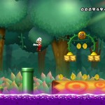 16_wii_nsmb_screenshots_new_-26