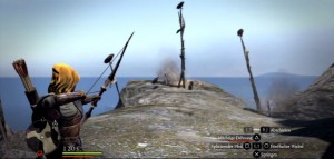 Dragons Dogma Bogen
