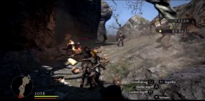 Dragons Dogma Kampf