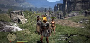 Dragons Dogma Landschaft