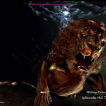 Dragons Dogma starker Gegner