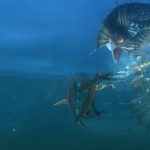 7_N3DS_MonsterHunterUnlimited_Screenshots_06 7_N3DS_MonsterHunterUnlimited_Screenshots_06