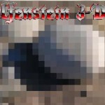 wolfenstein 3d