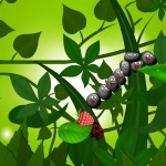 Sticky Blobs-05