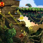 Donkey-Kong-Country-Returns-3D-09