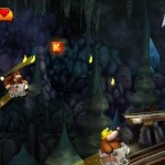 Donkey-Kong-Country-Returns-3D-11