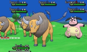 Pokémon Y-11