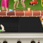 Grillen-01