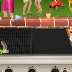 Grillen-02
