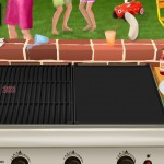 Grillen-03