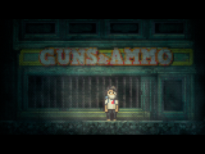Lone Survivor Guns and Ammo