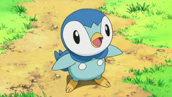 Pokemon Plinfa