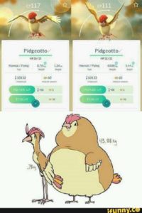 Pokemon go komische Verhältnisse