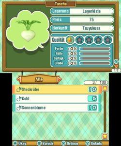 Story of Seasons: Trio of Towns