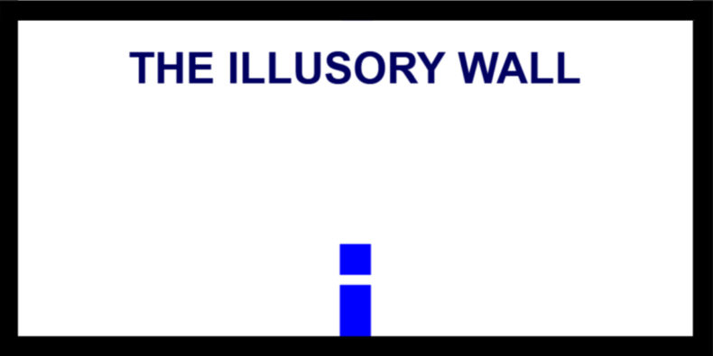 The Illusory Wall-Artikelbild