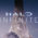 Halo Infinite-Artikelbild