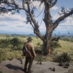 Red_Dead_Redemption_2-10