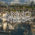 Anno 1800